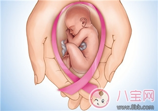 備孕首先應(yīng)該了解什么？宮頸黏液和排卵期是什么？