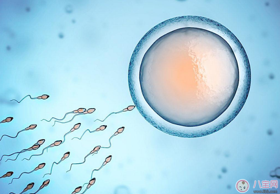 備孕三個(gè)月懷不上 其實(shí)懷不上并不是一個(gè)人的錯(cuò)