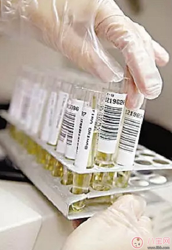 進行驗孕前應(yīng)該知道哪些常識性問題 可能你還不知道