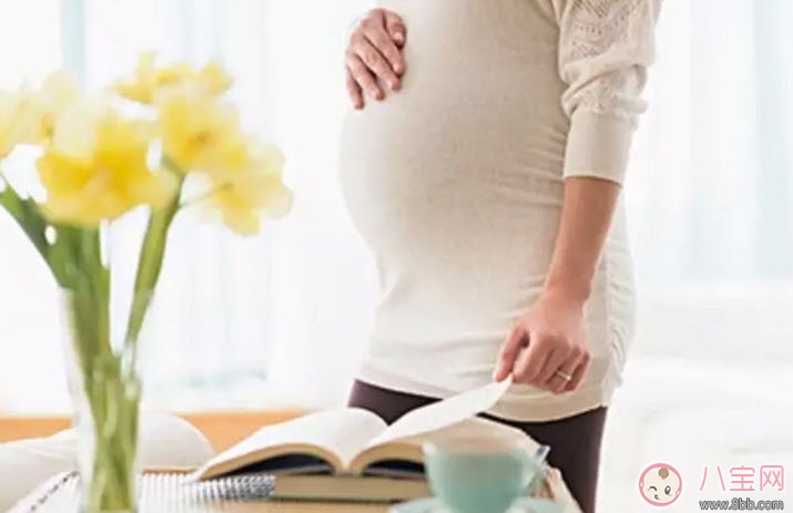 孕婦不能養(yǎng)什么花草 孕婦適合養(yǎng)哪些花草(適合孕婦養(yǎng)的花草名單) 孕婦不能養(yǎng)什么花草 孕婦適合養(yǎng)哪些花草(適合孕婦養(yǎng)的花草名單)