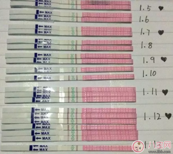 4天內造人成功    成功率最高的懷孕方法