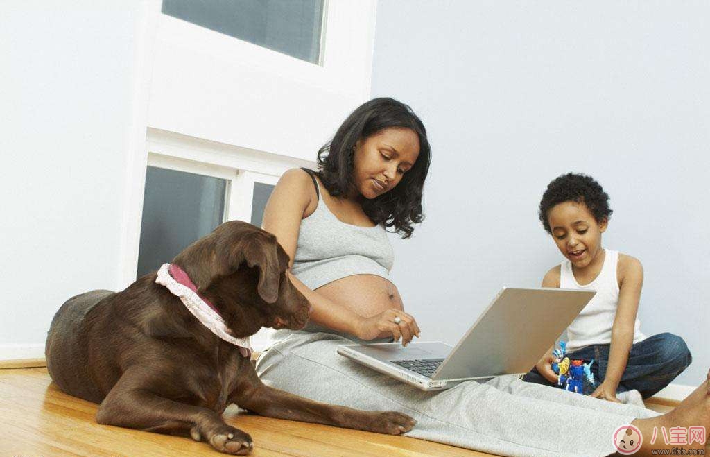 孕初期如何上網(wǎng) 孕初期上網(wǎng)注意事項 孕初期如何上網(wǎng) 孕初期上網(wǎng)注意事項