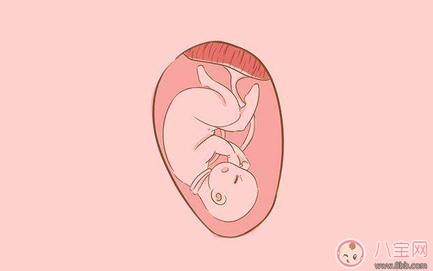 分娩是選順產(chǎn)還是剖腹產(chǎn) 醫(yī)生往往會參考這些數(shù)據(jù)