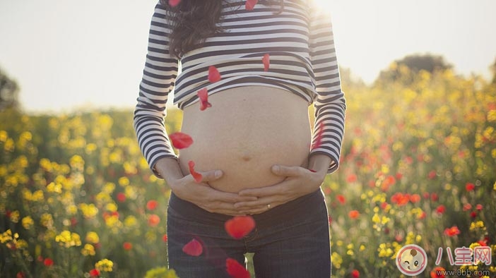 懷孕了可以做什么運(yùn)動(dòng) 這三種運(yùn)動(dòng)對(duì)準(zhǔn)媽媽好