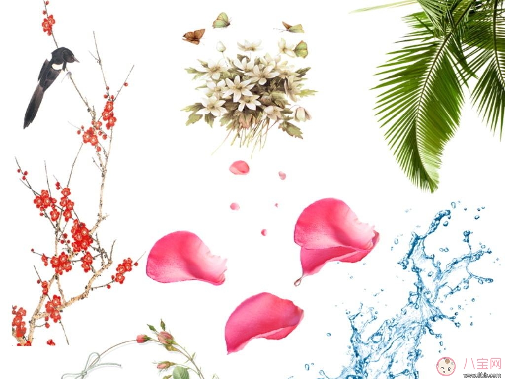 孕期植物美容效果好 教你自己DIY 孕期植物美容效果好 教你自己DIY