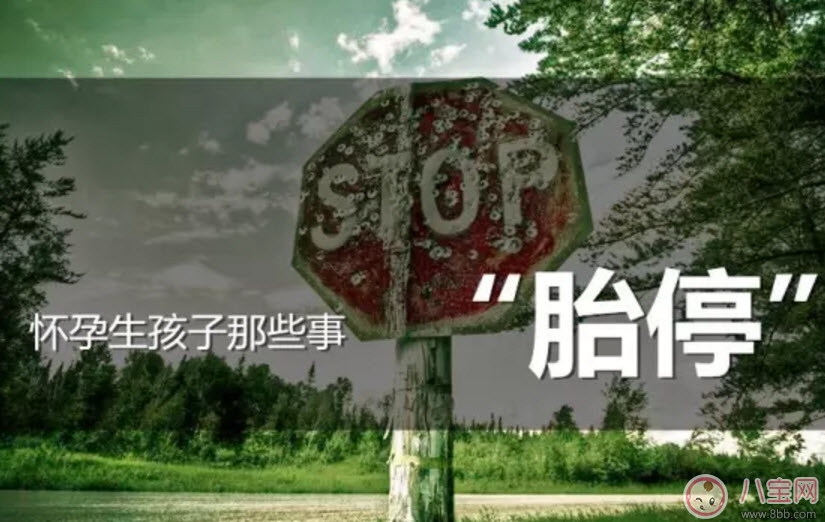 胎停的早期癥狀有哪些 胎停后再備孕要注意些什么