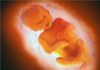 孕婦四維彩超的最佳時(shí)間 孕婦一定要做四維彩超嗎