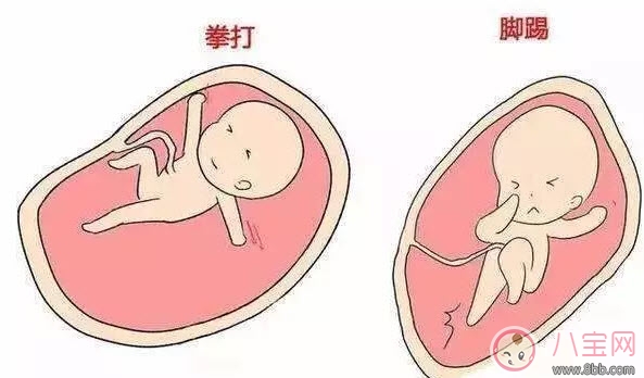 飯點吃飯的時候?qū)殞毺拥膮柡?寶寶胎動的意思還有哪些