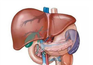 孕婦孕晚期嘔吐正常嗎 孕晚期得了脂肪肝怎么辦(孕期脂肪肝日常飲食)