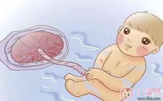 孕婦肚子大小和胎兒大小有關(guān)系嗎 孕婦肚子多大胎兒就有多大真的嗎