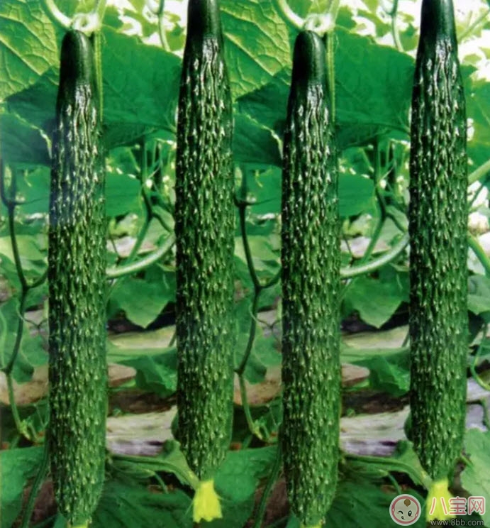 妊娠糖尿病吃什么水果好 孕婦一天最多吃多少水果