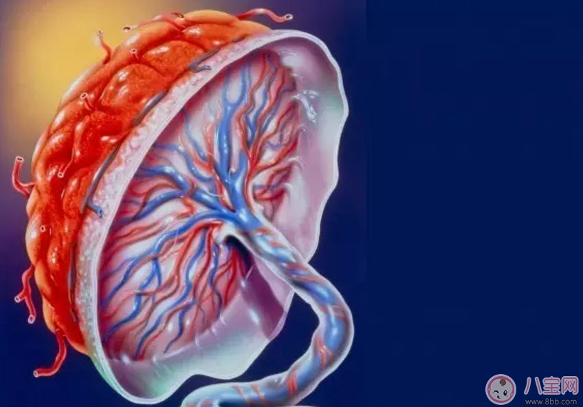 孕晚期胎盤(pán)老化的原因是什么 哪些孕媽媽要提防胎盤(pán)老化 孕晚期胎盤(pán)老化的原因是什么 哪些孕媽媽要提防胎盤(pán)老化