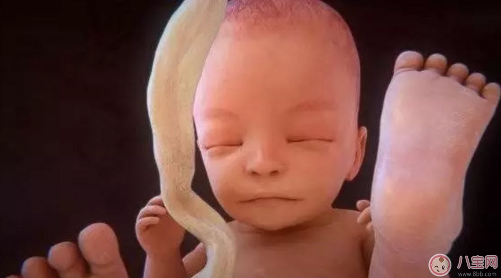 胎盤(pán)晚熟預(yù)產(chǎn)期會(huì)推遲嗎 胎盤(pán)成熟度1級(jí)能分娩嗎