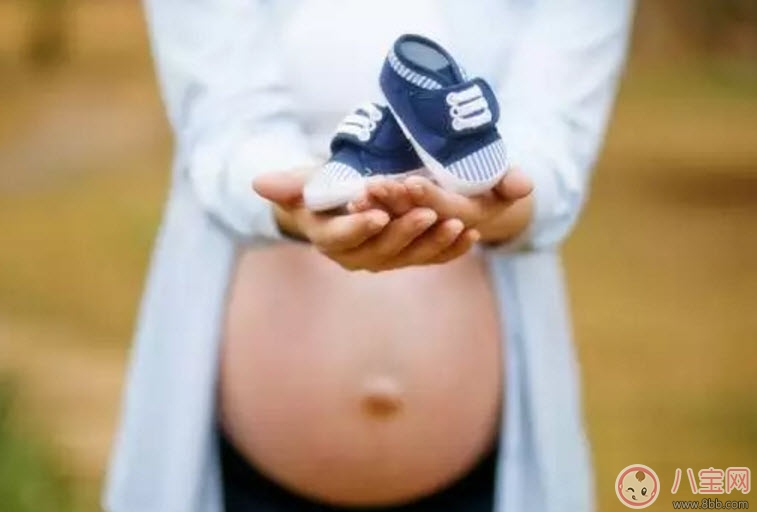 胎停育的癥狀有哪些 胎停育的前兆反應是什么(胎停育的原因)