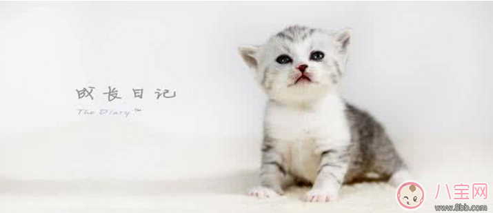 懷孕時(shí)有哪些事情做了才不會(huì)覺(jué)得遺憾 不知道就等著后悔吧