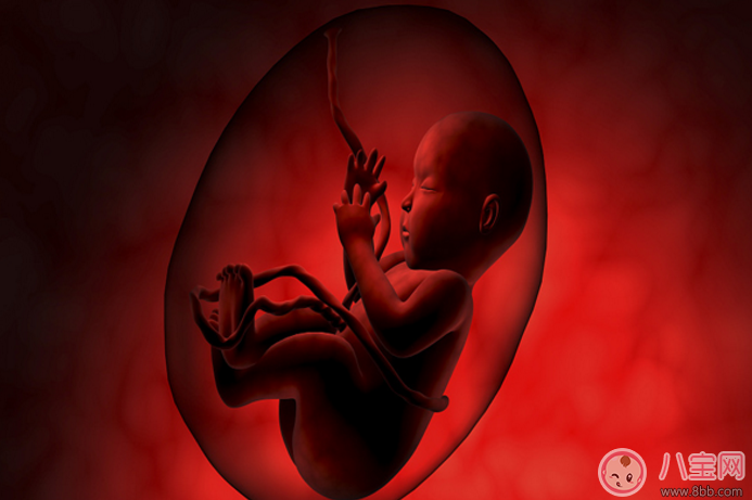 寶寶智商和什么相關(guān) 寶寶智商發(fā)育三大注意事項