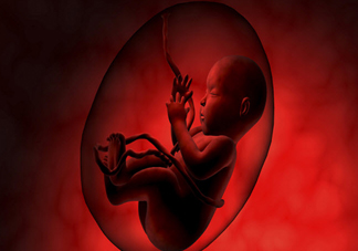 寶寶智商和什么相關(guān) 寶寶智商發(fā)育三大注意事項