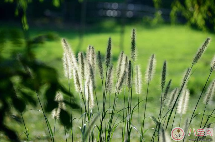 秋天懷孕好不好 最適合懷孕的季節(jié)推薦