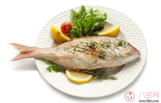懷孕怎么吃魚好 懷孕吃魚推薦