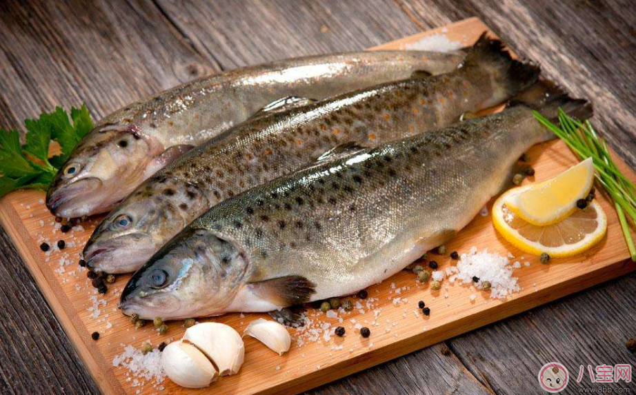 懷孕怎么吃魚好 懷孕吃魚推薦