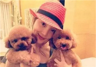 養(yǎng)寵物的孕婦應(yīng)該做哪些檢查 為什么明星懷孕了能養(yǎng)寵物