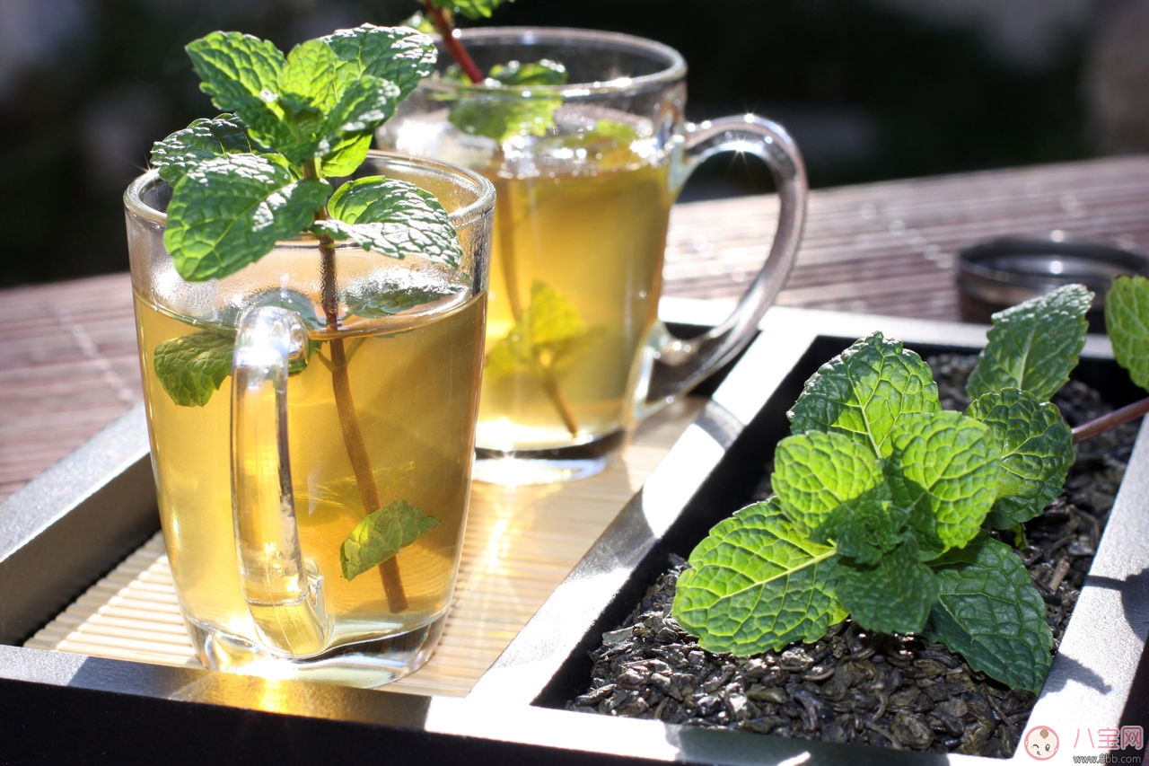 孕婦喝薄荷茶知多少 孕婦可以喝薄荷茶嗎
