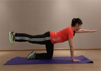 懷孕不提重物好不好 懷孕的時候什么運動都不能做嗎