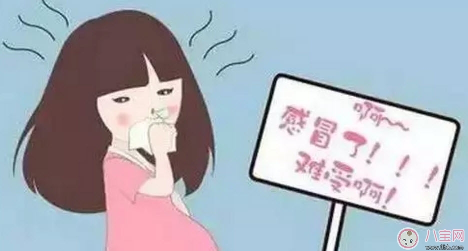 孕婦可以喝板藍(lán)根嗎 孕婦感冒咳嗽可以喝板藍(lán)根顆粒嗎