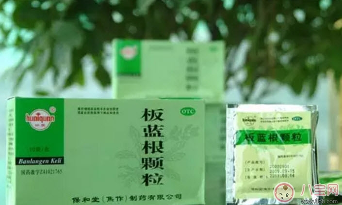 孕婦可以喝板藍(lán)根嗎 孕婦感冒咳嗽可以喝板藍(lán)根顆粒嗎