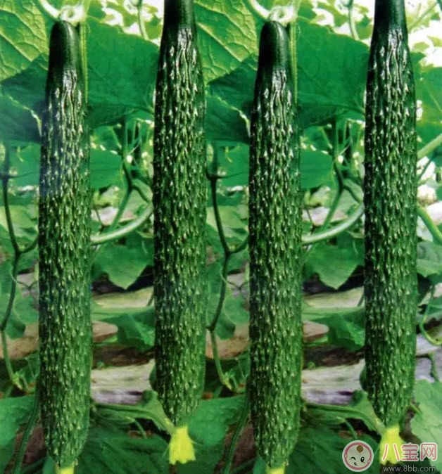 孕婦糖尿病對(duì)孩子有什么影響 孕婦糖尿病的癥狀有哪些