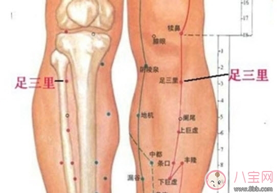 孕婦胃病犯了怎么辦吃什么藥 孕婦怎么立刻緩解胃痛