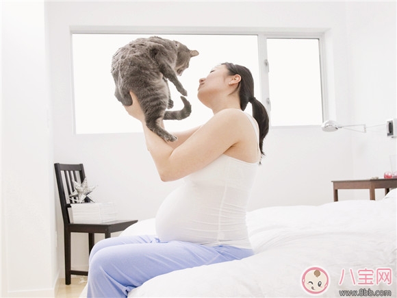 孕期家里有寵物怎么辦 孕期養(yǎng)寵物注意事項(xiàng)