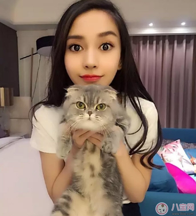 孕期家里有寵物怎么辦 孕期養(yǎng)寵物注意事項(xiàng)