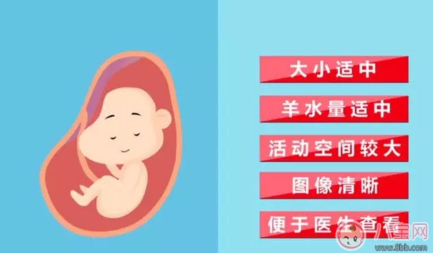 從懷孕到生要做幾次b超 懷孕做多少次b超合適(孕期b超時(shí)間表)