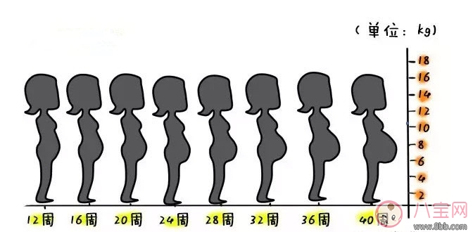 為什么有的孕婦不顯懷 懷孕不顯懷是怎么回事 為什么有的孕婦不顯懷 懷孕不顯懷是怎么回事