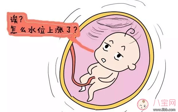 為什么有的孕婦不顯懷 懷孕不顯懷是怎么回事 為什么有的孕婦不顯懷 懷孕不顯懷是怎么回事