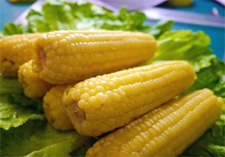 懷孕期間可以吃玉米嗎 懷孕怎么吃玉米