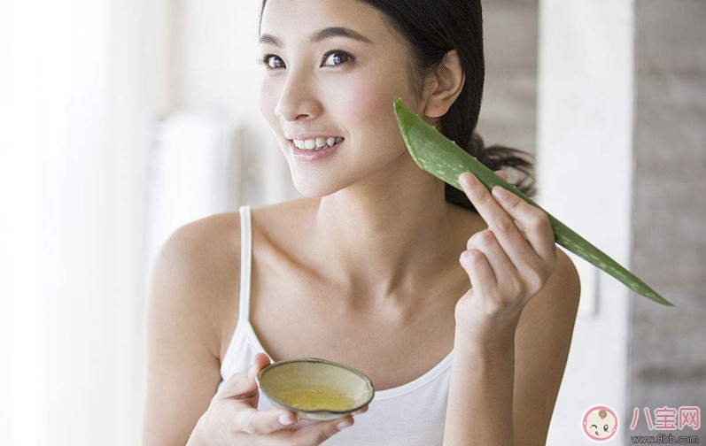 蘆薈美容功效多 產(chǎn)后正確使用更漂亮