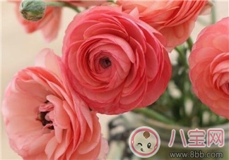 產后排尿難的原因  如何促進排尿