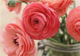 產后排尿難的原因  如何促進排尿