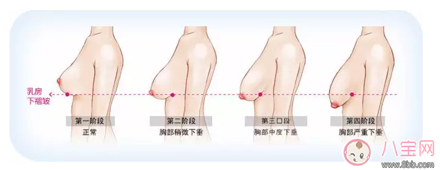 母乳喂養(yǎng)會造成胸部下垂 錯!真相其實是這樣