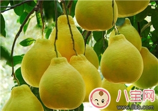 柚子減肥法  秋季去燥又瘦身