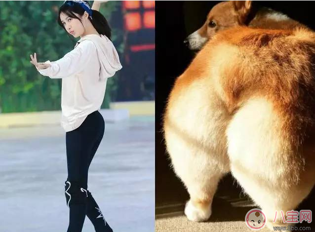 柯基臀是骨盆前傾嗎 李菲兒的柯基臀是怎么練成的