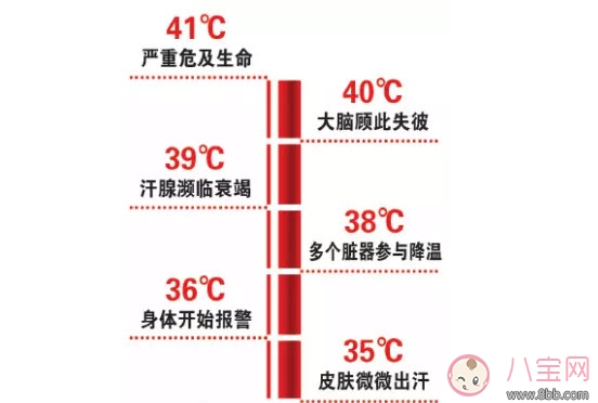 三伏天坐月子拒開空調(diào)捂出傷 為什么坐月子能捂出腦損傷