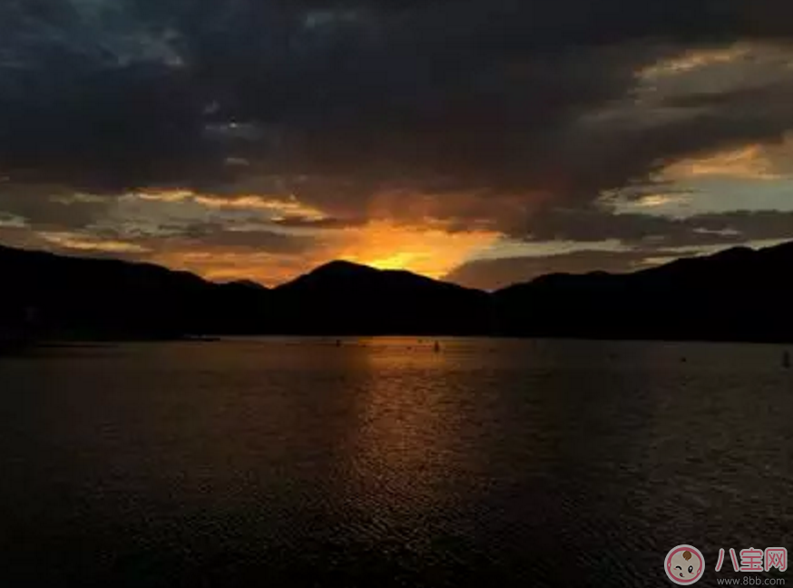 iPhone 8、iPhone 8 Plus以及iPhone X哪個好 哪款iPhone 更值得買