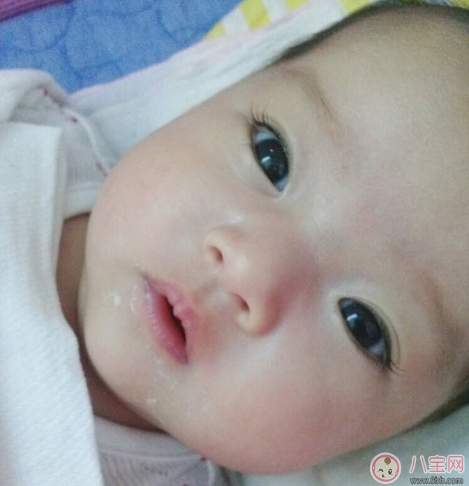 權(quán)律二為什么火了出名了 權(quán)律二為什么叫兔子妹(權(quán)律二媽媽ins)