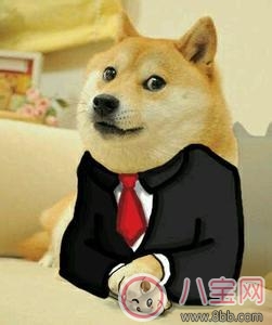 祖國花朵專用雨衣 給寶寶選什么雨衣好