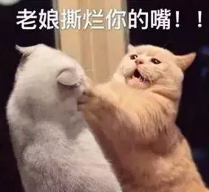 虛假的姐妹情誼表情包 友誼姐妹感情就像塑料花表情包無(wú)水印