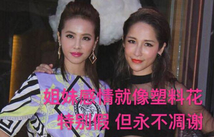 虛假的姐妹情誼表情包 友誼姐妹感情就像塑料花表情包無(wú)水印