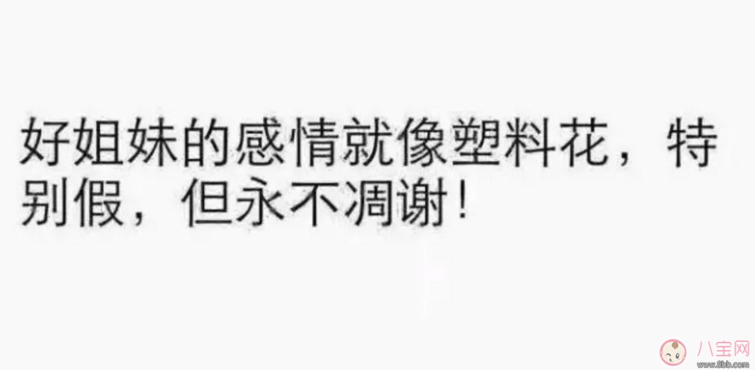 塑料姐妹花永遠(yuǎn)不分家?塑料花友誼什么意思 娛樂圈那些塑料花姐妹友誼